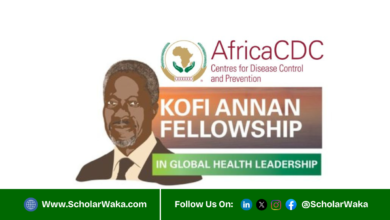 Kofi Annan Fellowship in Global Health Leadership 2026 | Fully Funded - ScholarWaka