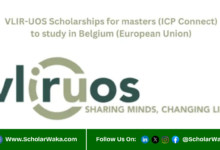 VLIRUOS ICP Connect Scholarships 2026 | Fully Funded - ScholarWaka