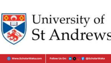 University of St Andrews International Excellence Scholarship 2026 | How to Apply - ScholarWaka