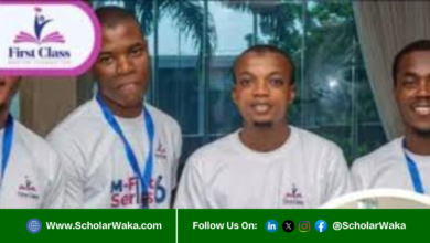 Undergraduate Learning Support Programme 2026 For Nigerians | How to Apply - ScholarWaka