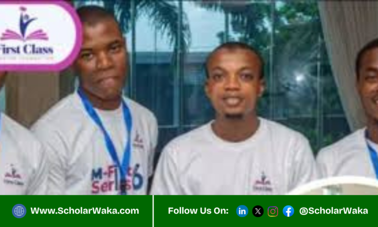 Undergraduate Learning Support Programme 2026 For Nigerians | How to Apply - ScholarWaka