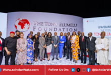 Tony Elumelu Foundation (TEF) Entrepreneurship Grant 2026 | How to Apply - ScholarWaka