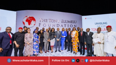 Tony Elumelu Foundation (TEF) Entrepreneurship Grant 2026 | How to Apply - ScholarWaka