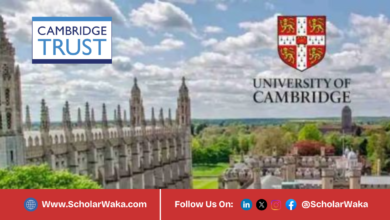 Cambridge Trust Undergraduate Scholarship 2026 | How to Apply - ScholarWaka
