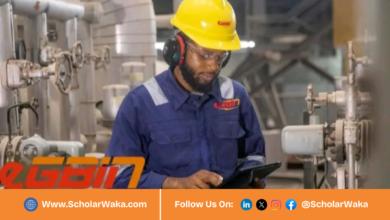 Egbin Power Internship Programme 2026 For Undergraduates | How to Apply - ScholarWaka