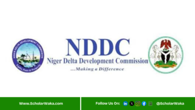 NDDC Skill Development Training and Empowerment Programme | How to Apply - ScholarWaka