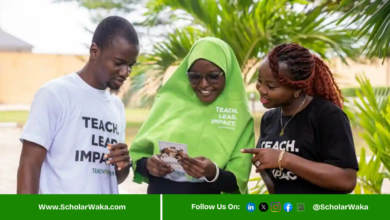 Teach For Nigeria Fellowship 2026 | How To Apply - ScholarWaka