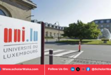 University of Luxembourg Guillaume Dupaix International Scholarship 2026 | How to Apply - ScholarWaka