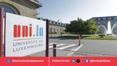University of Luxembourg Guillaume Dupaix International Scholarship 2026 | How to Apply - ScholarWaka