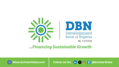 DBN Entrepreneurship Training Program 2026 | How to Apply - ScholarWaka
