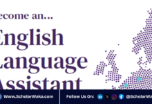 English Language Assistants Program (ALVE) 2026 in France | How to Apply - ScholarWaka