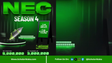 National Essay Competition 2026 for Nigerian Writers | How to Apply - ScholarWaka