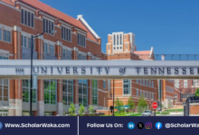 2026 University of Tennessee Graduate Scholarship in USA | Fully Funded - ScholarWaka