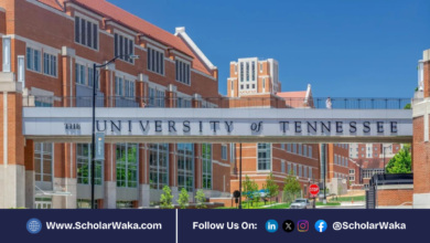 2026 University of Tennessee Graduate Scholarship in USA | Fully Funded - ScholarWaka