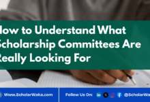 How to Understand What Scholarship Committees Are Really Looking For | Easy Guide - ScholarWaka