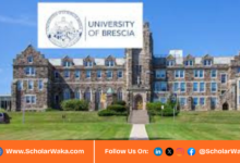 University of Brescia STAR Scholarships 2026/2027 | How to Apply - ScholarWaka