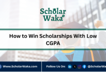 How to Win Scholarships With Low CGPA - ScholarWaka