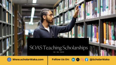 SOAS University of London Teaching Scholarships 2026 in UK | Fully Funded - ScholarWaka