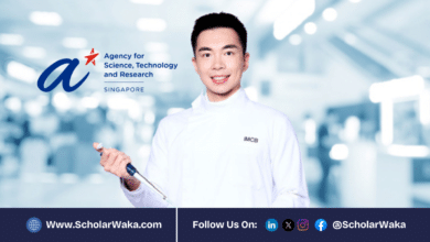 A*STAR National Science Scholarship (PhD) 2026 in Singapore | Fully Funded - ScholarWaka