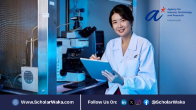 A*STAR National Science Scholarship (BS-PhD) 2026/2027 in Singapore | Fully Funded - ScholarWaka