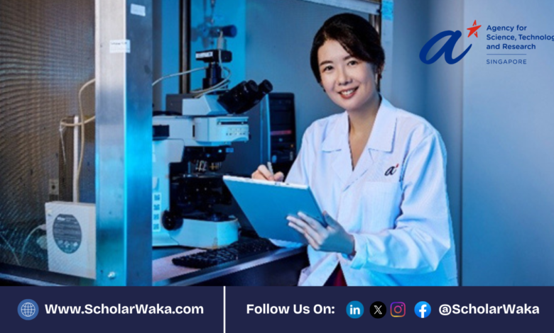 A*STAR National Science Scholarship (BS-PhD) 2026/2027 in Singapore | Fully Funded - ScholarWaka