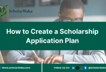 How to Create a Scholarship Application Plan | Scholarship Guide - ScholarWaka