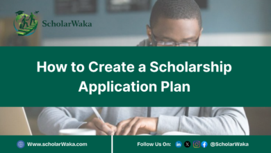 How to Create a Scholarship Application Plan | Scholarship Guide - ScholarWaka