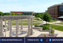 University of Illinois Springfield M.Sc Scholarship 2026 in USA | Fully Funded - ScholarWaka