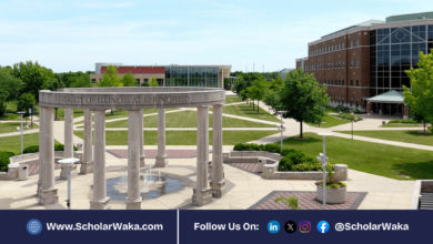 University of Illinois Springfield M.Sc Scholarship 2026 in USA | Fully Funded - ScholarWaka