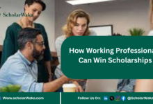 How Working Professionals Can Win Scholarships | Scholarship Guide - ScholarWaka