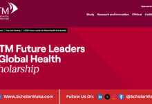 LSTM Future Leaders in Global Health Scholarship 2027 in the UK | £5,000 Award - ScholarWaka
