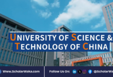 USTC Fellowship for Undergraduates 2026 in China | Fully Funded - ScholarWaka