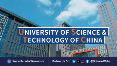 USTC Fellowship for Undergraduates 2026 in China | Fully Funded - ScholarWaka