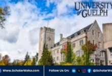 Arrell Food Institute Scholarships 2026 | How to Apply - ScholarWaka