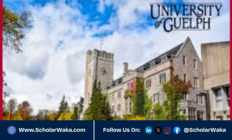 Arrell Food Institute Scholarships 2026 | How to Apply - ScholarWaka