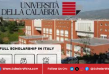University of Calabria Scholarships 2026/2027 | How to Apply - ScholarWaka
