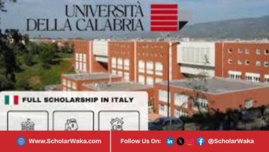 University of Calabria Scholarships 2026/2027 | How to Apply - ScholarWaka