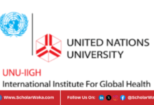 UNU-IIGH Global Health PhD Fellowship Programme 2026 | How to Apply - ScholarWaka