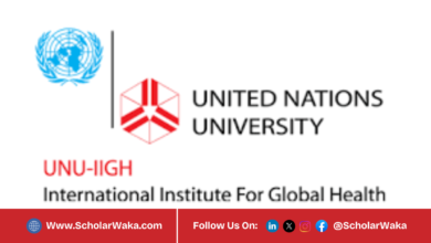 UNU-IIGH Global Health PhD Fellowship Programme 2026 | How to Apply - ScholarWaka