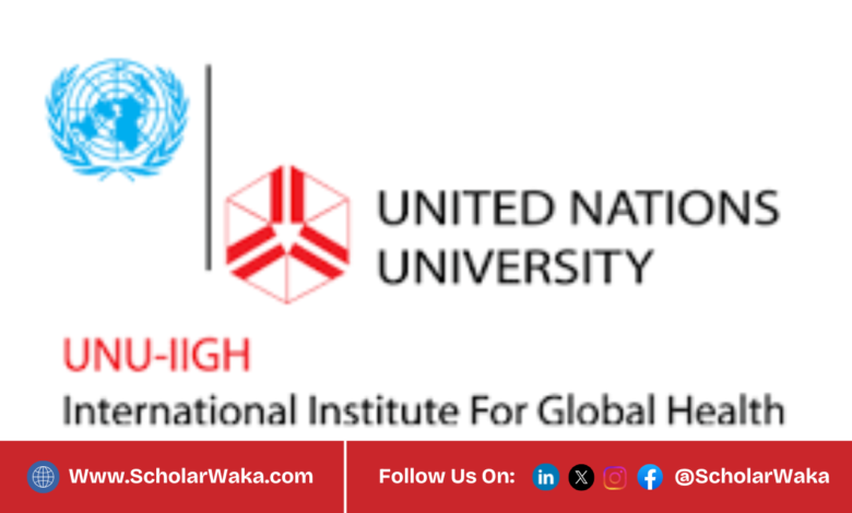 UNU-IIGH Global Health PhD Fellowship Programme 2026 | How to Apply - ScholarWaka