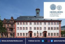 Heidelberg University Scholarships 2026 in Germany | How to Apply - ScholarWaka
