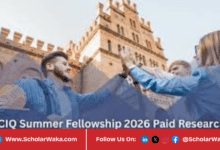 ICIQ Summer Fellowship Programme 2026 in Spain | How to Apply - ScholarWaka