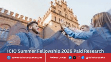 ICIQ Summer Fellowship Programme 2026 in Spain | How to Apply - ScholarWaka