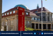 Universität Hamburg Merit Scholarship 2026 in Germany | How to Apply - ScholarWaka