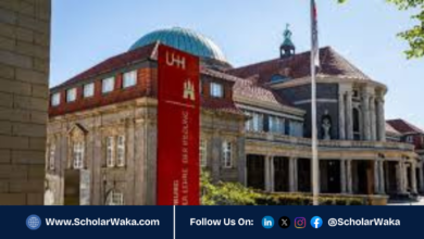 Universität Hamburg Merit Scholarship 2026 in Germany | How to Apply - ScholarWaka