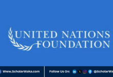 United Nations Nippon Foundation Fellowship 2026 | Fully Funded - ScholarWaka