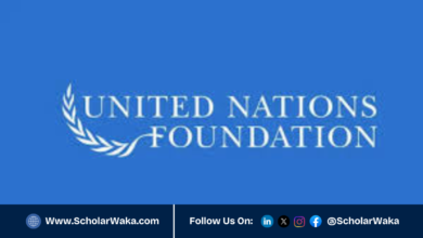 United Nations Nippon Foundation Fellowship 2026 | Fully Funded - ScholarWaka