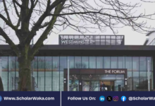 University of Westminster Serum Institute Pathways to Excellence Scholarship 2026 in UK for International Students | Fully Funded - ScholarWaka