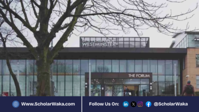 University of Westminster Serum Institute Pathways to Excellence Scholarship 2026 in UK for International Students | Fully Funded - ScholarWaka