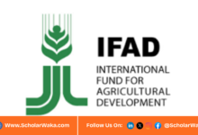 IFAD Internship Program for International Students | Fully Funded - ScholarWaka